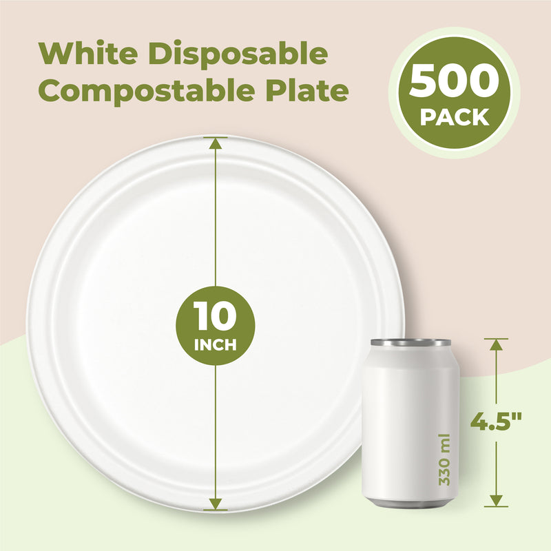 10 Inches Eco Sugarcane Plate