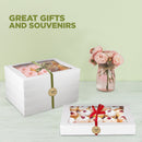 White Bakery Box with Window 16x12x2.25”  - Holds 12 Donuts , Auto-Popup - Inbulks