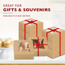 6x6x3 Bakery Box with Window - Square with Auto Pop-up Clear Window - Inbulks