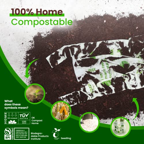 [500 Pack] 100% Compostable Bags with Handle - Inbulks