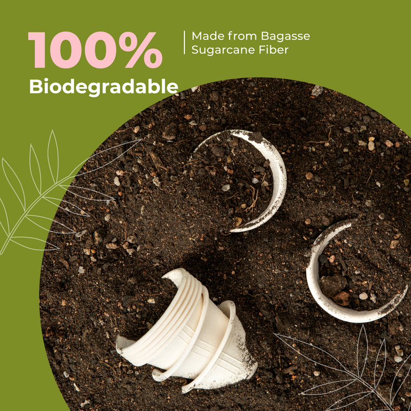 2oz Compostable Sugarcane Portion Cups