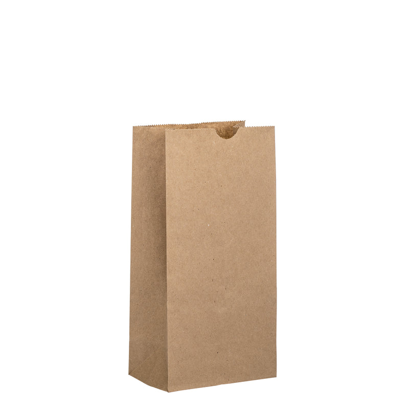 #6 Kraft Paper Bags 6LB