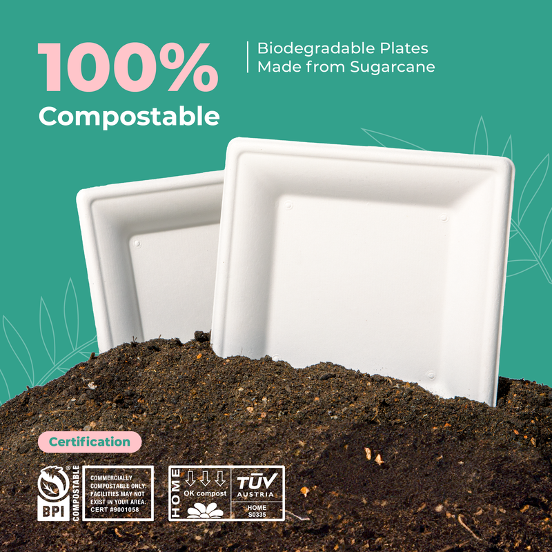 Square Biodegradable Bagasse Plates 10" x 10"