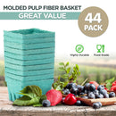 FMP Brands 44 Pack Pint Green Molded Pulp Fiber Berry Basket Produce Vented Container for Fruit and Vegetable, Farmer Market, Grocery Stores and Backyard Party