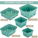 FMP Brands 44 Pack Pint Green Molded Pulp Fiber Berry Basket Produce Vented Container for Fruit and Vegetable, Farmer Market, Grocery Stores and Backyard Party