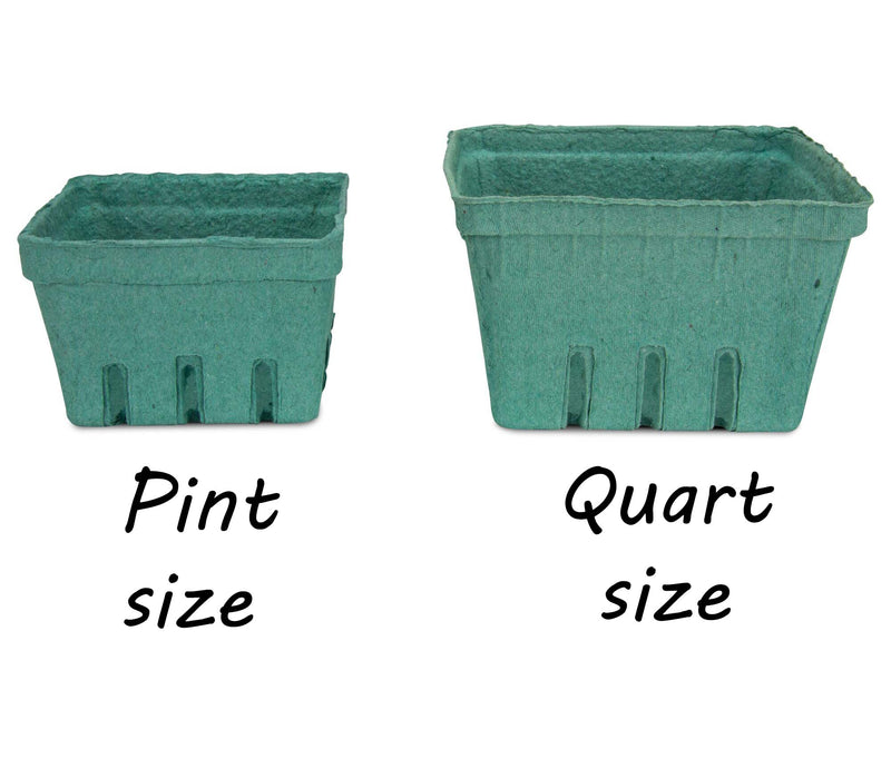 Green Molded Pulp Fiber Produce Vented Berry Basket 1 Pint for Packaging  Fruits and Veggies by MT Products- (15 Pieces) - Made in The USA