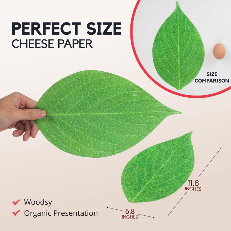 Paper Cheese Leaf - Inbulks