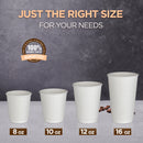 Disposable Coffee Cups - White Double Wall Insulated To Go Coffee Cups - Inbulks